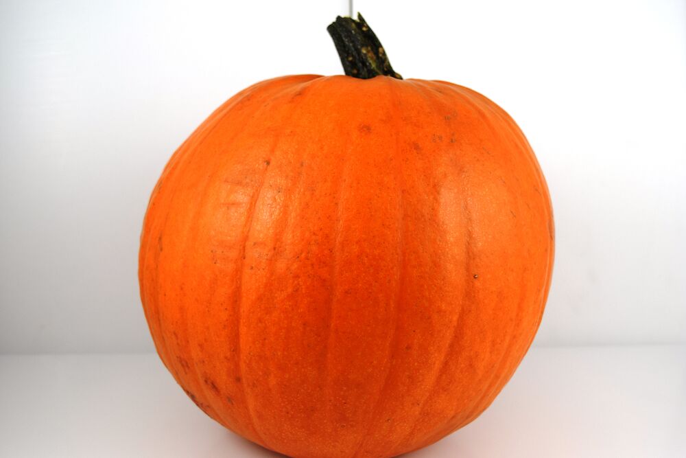 Pumpa halloween SE